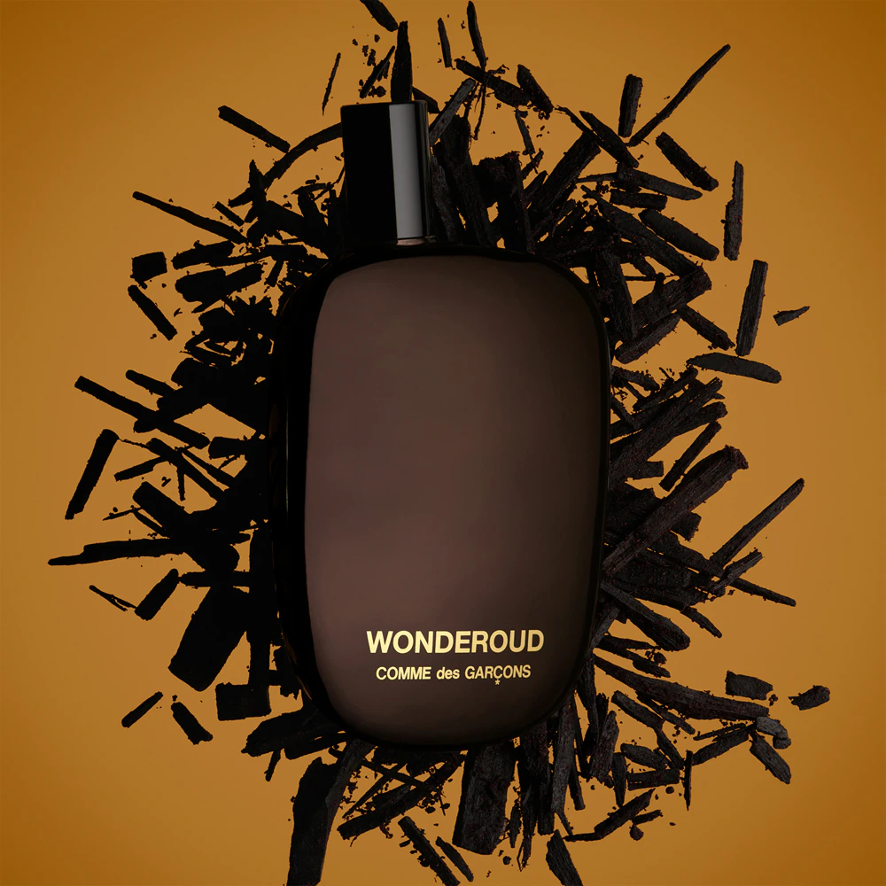 COMME DES GARÇONS - WONDEROUD | Studio Bakuza